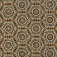 Jasper - Image 2