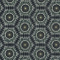 Jasper - Image 4